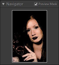 Retouch4me Skin Mask 1.019 download the last version for ios